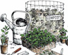 Home & Garden programs for March 25 – April 10