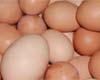 Salmonella Outbreak Linked to Shell Eggs