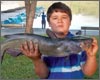 The Fish are Biting at Kernersville Lake