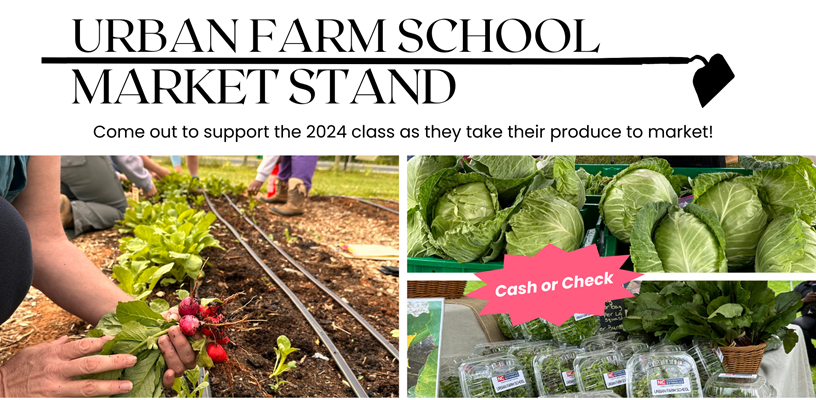  Fresh Produce from the Urban Farm School Market Stand